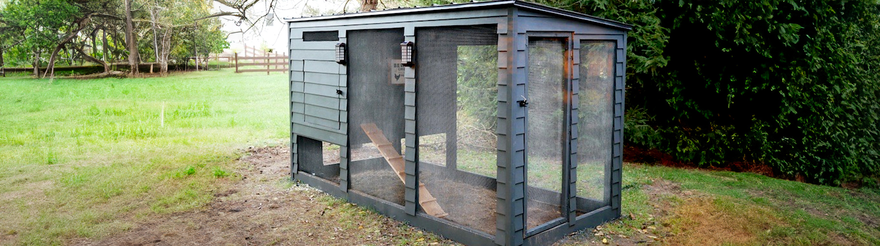 Chicken Coop Plans: How to Build a Modern Chicken Coop