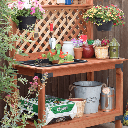 Gardening tools and plants on a wood outdoor potting bench.