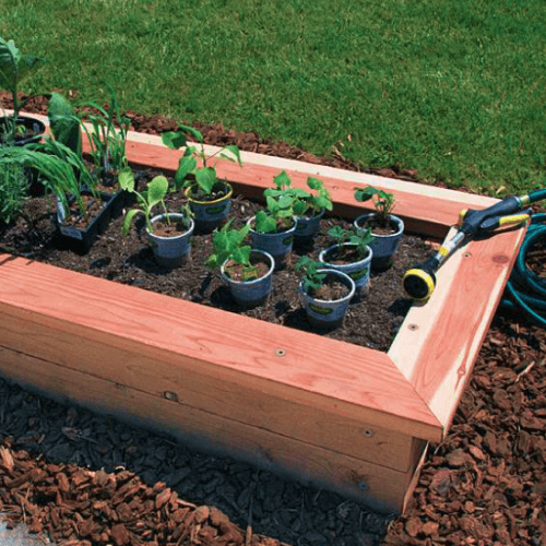 Different vegetable plants in pots in a raised wood garden bed.